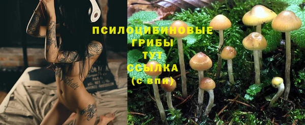 не бодяженный Арсеньев