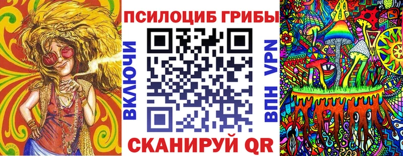 закладка Бобров hydra как войти Псилоцибиновые грибы Cubensis